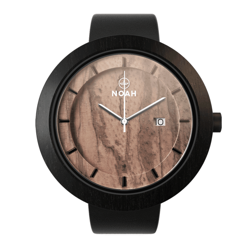 Black Zebra – NOAH